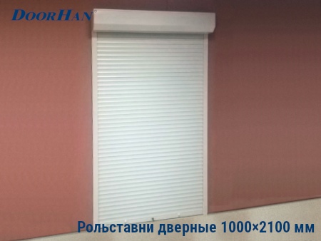 Рольставни на двери 1000×2100 мм в Омске от 28915 руб.