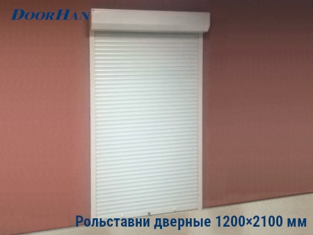 Рольставни на двери 1200×2100 мм в Омске от 31851 руб.