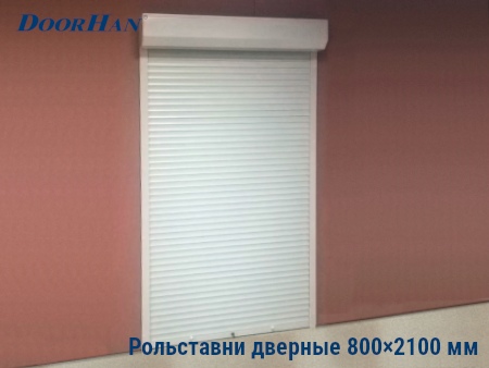 Рольставни на двери 800×2100 мм в Омске от 25979 руб.